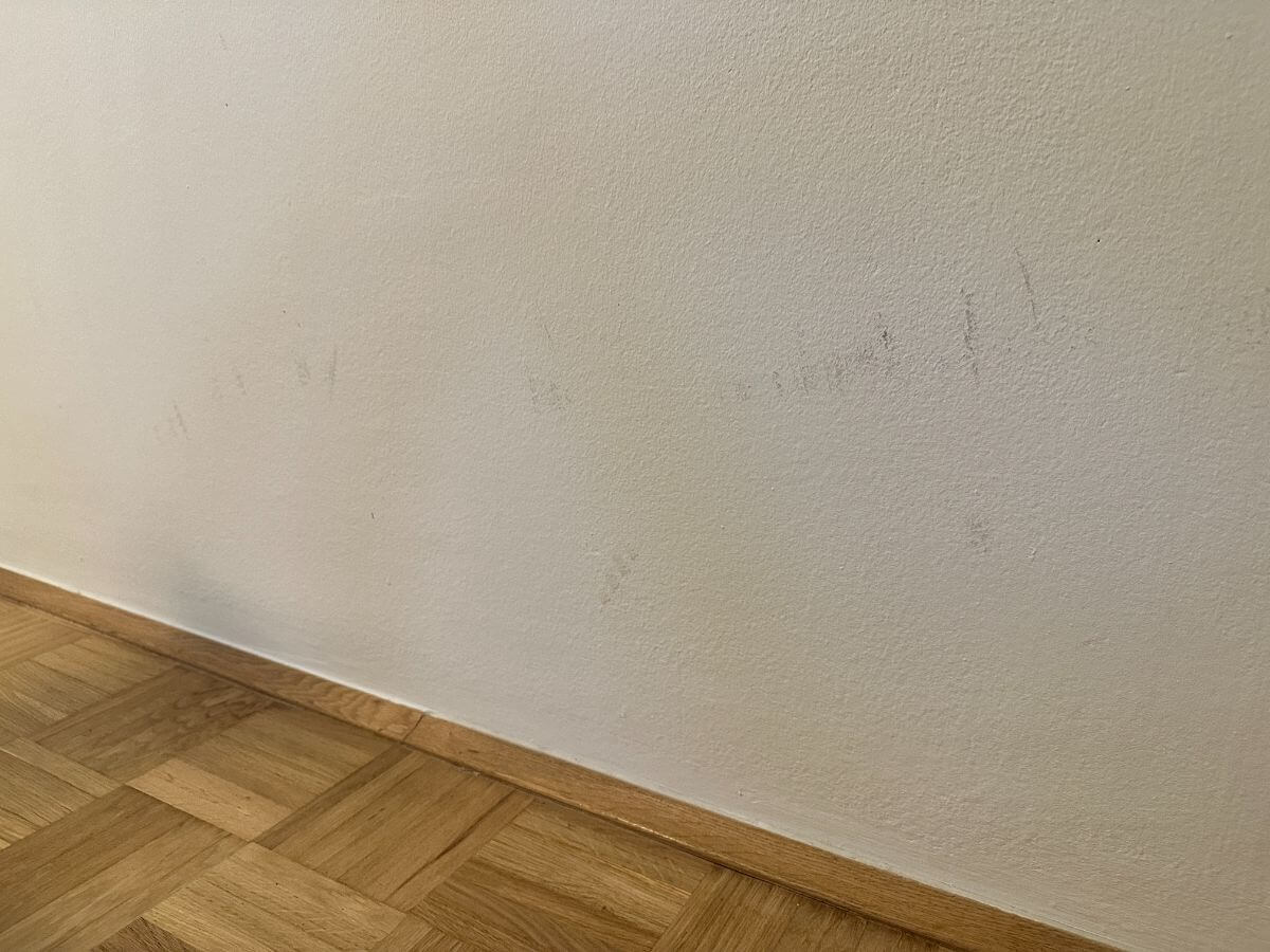 Tyre marks on the wall